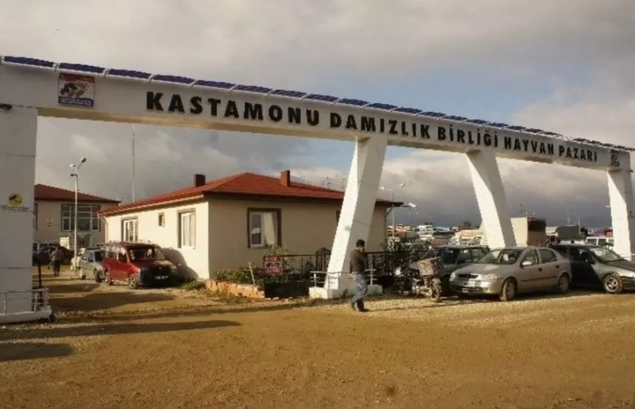 KASTAMONU HAYVAN PAZARI